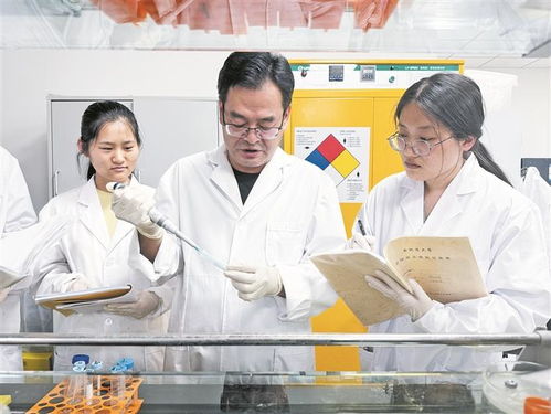 楚生輝 為新疆中藥學(xué)發(fā)展貢獻(xiàn)力量的醫(yī)學(xué)研究與試驗(yàn)先鋒